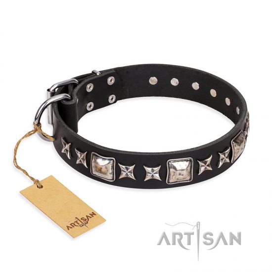 "Space Walk" FDT Artisan Black Leather dog Collar with Adornments