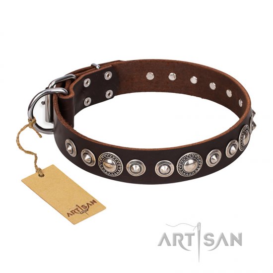 "Step and Sparkle" FDT Artisan Glamorous Studded Brown Leather dog Collar