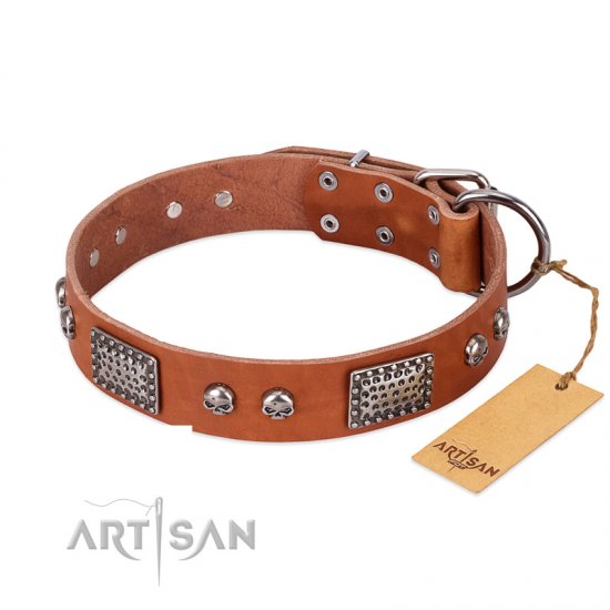 "Sparkling Skull" FDT Artisan Tan Leather dog Collar with Old Silver Look Plates and Skulls