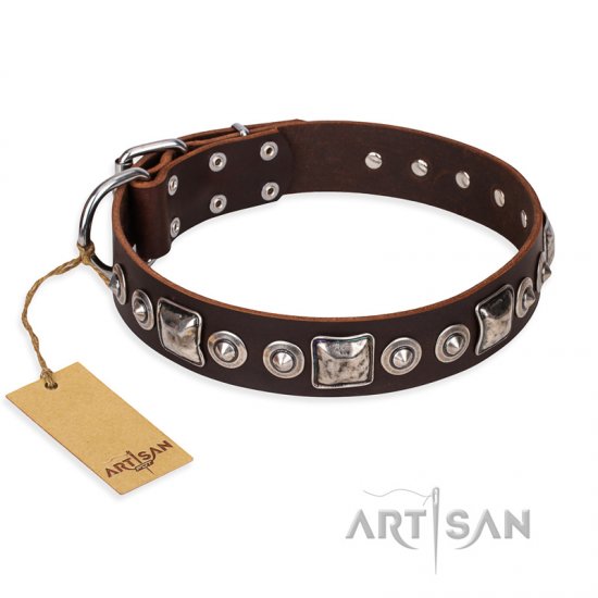 "Pierian spring" FDT Artisan Brown Leather dog Collar with Silvery Decorations