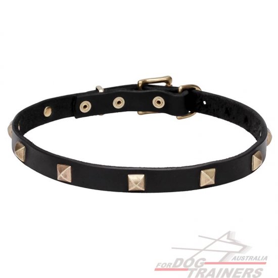 Leather Dog Collar with Brass Studs - "Modern Style" 4/5 inch (20 mm)