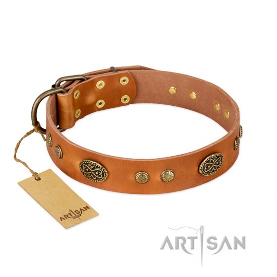 "Sun Beams" FDT Artisan Tan Leather dog Collar with Decorations