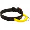 Water Resistant Nylon Dog Collar with Comfortable Handle