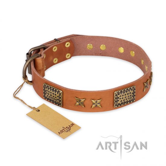 "Cosmic Traveller" FDT Artisan Adorned Leather dog Collar with Old Bronze-Plated Stars and Plates