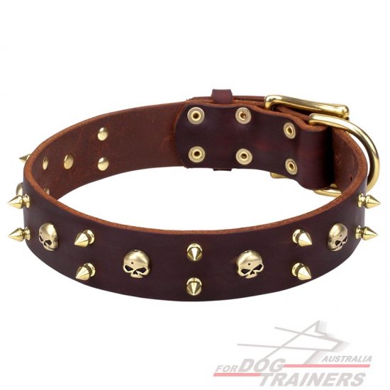 'Hard Rock' Leather Dog Collar with Brass Spikes and Skulls