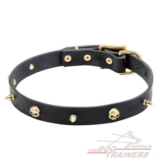Leather dog collar "Rock the Goth" with brass spikes and skulls