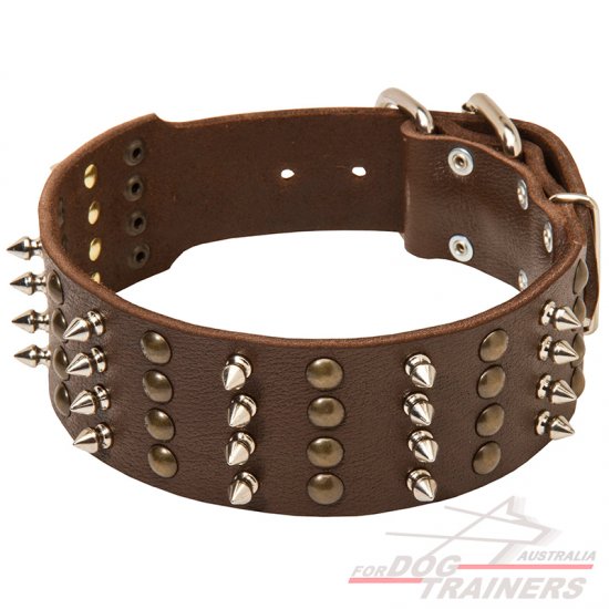 Spiked and Studded Extra Wide Leather Collar
