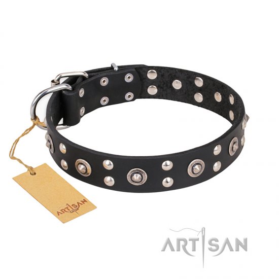 "Refined Essence" FDT Artisan Black Leather dog Collar with Silvery Studs