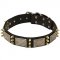 Designer Spiked Leather Dog Collar with Vintage Nickel Massive Plates and 3 Brass Spikes