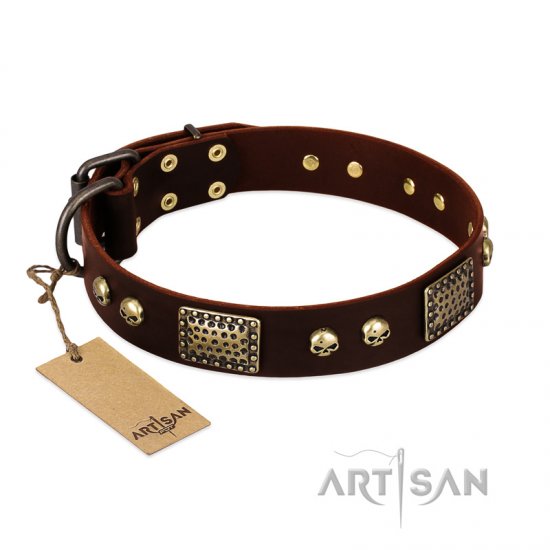 "Magic Amulet" Brown Leather dog Collar with Skulls and Plates
