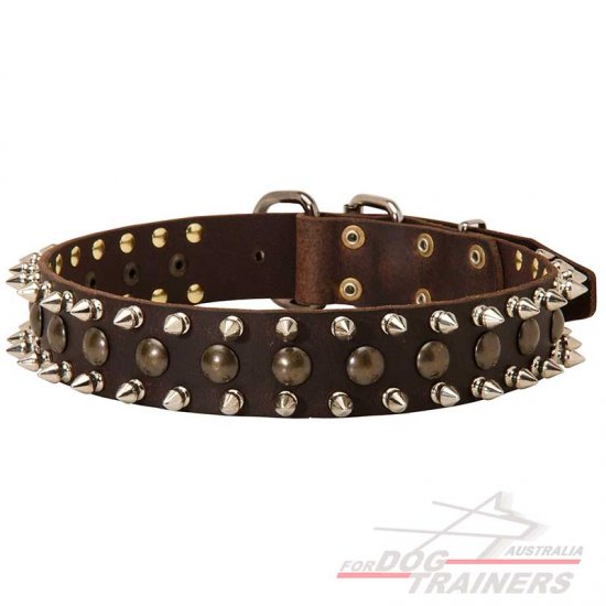 Designer Spiked and Studded Leather Dog Collar