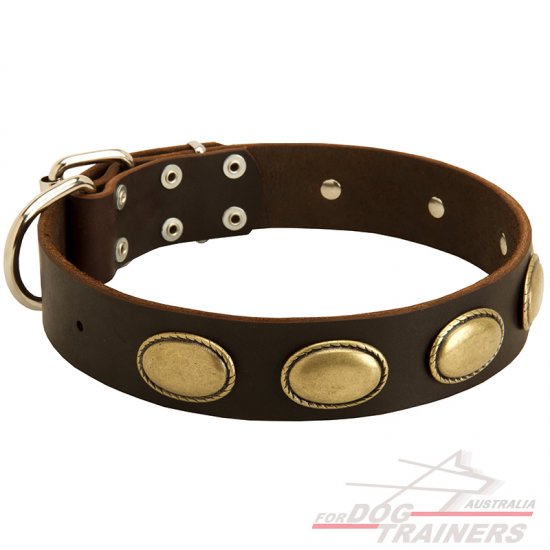 Splendid Vintage Ovals Leather Dog Collar