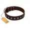 "Spring Flower" Stylish FDT Artisan Brown Leather dog Collar for Comfy Walks