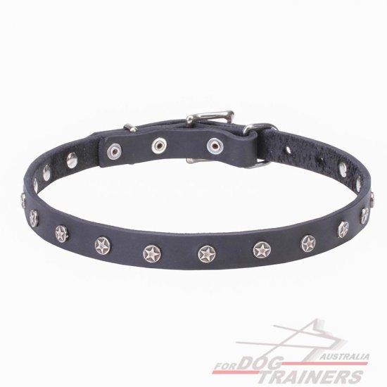 Handcrafted 4/5 inch (20 mm) Leather Dog Collar with Nickel Plated Stars - "Stellar"