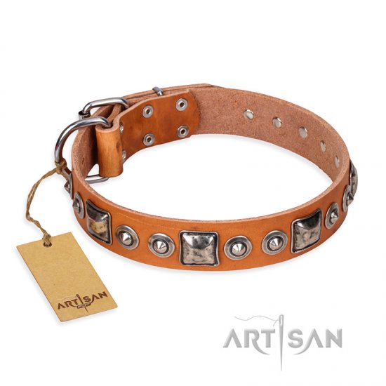 "Era of Future" FDT Artisan Handcrafted Tan Leather dog Collar with Decorations