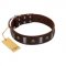 "War Chief" FDT Artisan Genuine Brown Leather dog Collar with Skulls and Plates