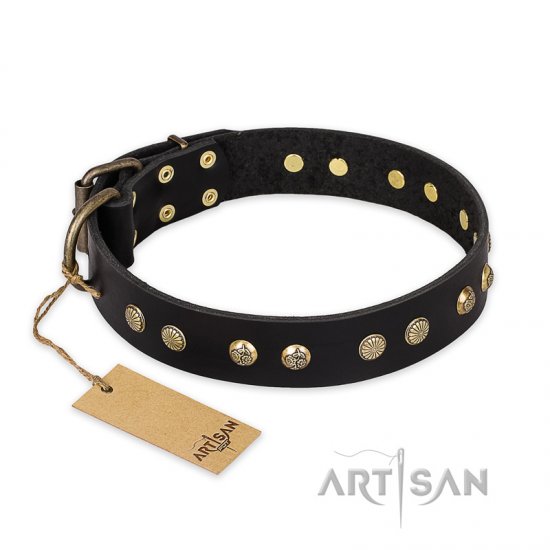 "Black Elegance" FDT Artisan Leather dog Collar with Round Studs