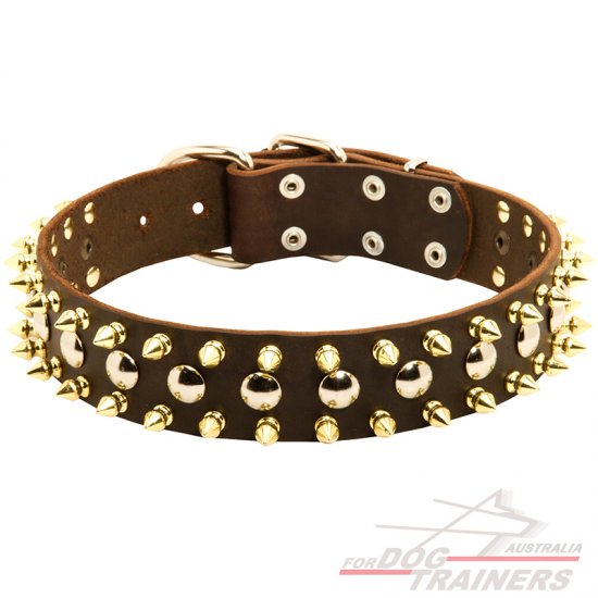 Designer Leather Spiked and Studded Dog Collar