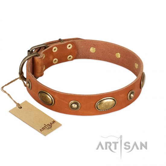 "Visual Magic" FDT Artisan Tan Leather dog Collar for Daily Activities