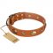 "Visual Magic" FDT Artisan Tan Leather dog Collar for Daily Activities