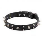 "Jolly Roger" Leather Dog Collar with Skulls and Spikes - 1 1/15 inch (30 mm)