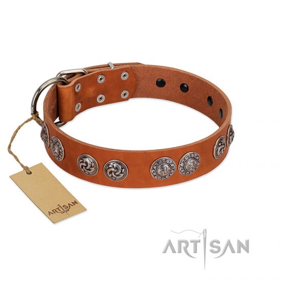 "Woofy Majesty" FDT Artisan Tan Leather dog Collar with Round Silver-like Plates