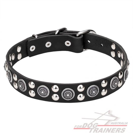 Leather Dog Collar with Silver-like Circles and Round Studs 'Galactic Style' - 1 1/4 inch (30 mm) wide
