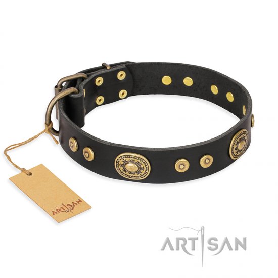 "Golden Radiance" FDT Artisan Black Leather dog Collar with Old Bronze Look Ovals and Circles