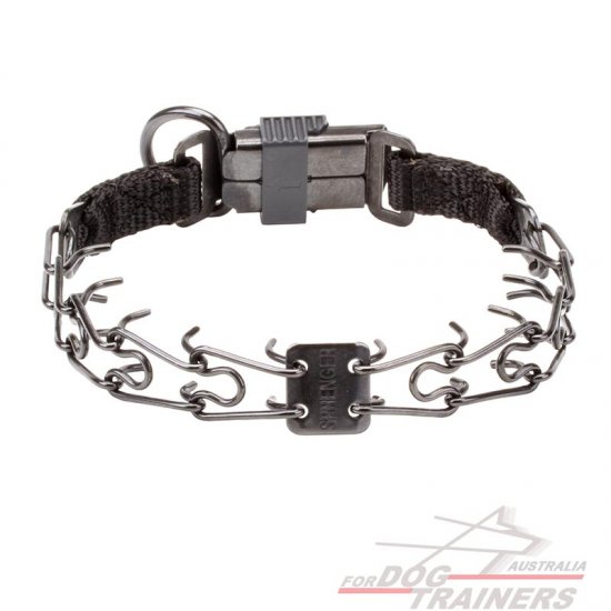 Dog Pinch Collar Made of Black Stainless Steel