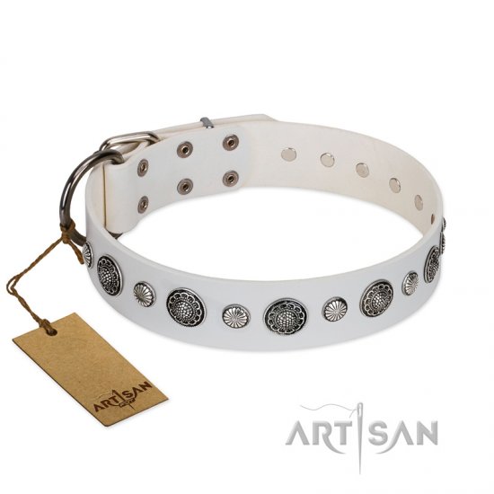 "Fluff-Stuff Beauty" FDT Artisan White Leather dog Collar with Silver-like Studs and Conchos