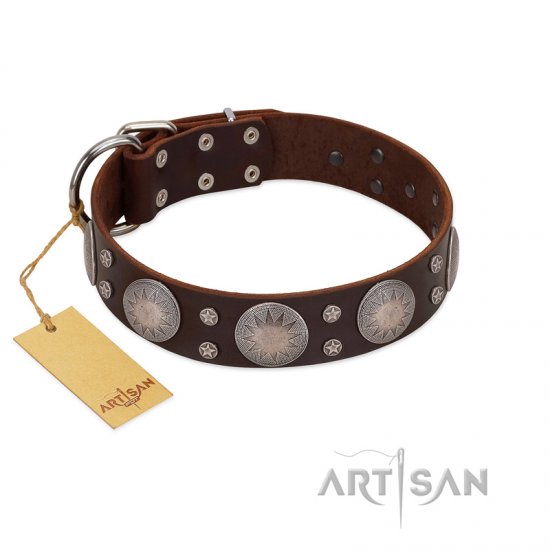 "Imperial Legate" FDT Artisan Brown Leather dog Collar with Big Round Plates