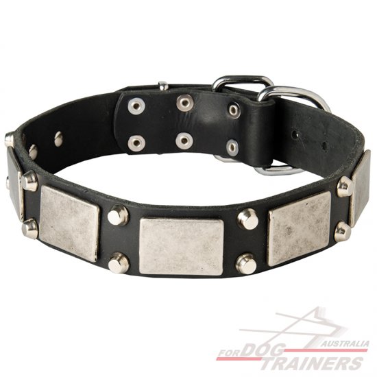 Designer Leather Dog Collar With Vintage Nickel Plates and Pyramids