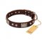 "Pirate Skull" FDT Artisan Brown Leather dog Collar with Old Silver Look Plates and Skulls