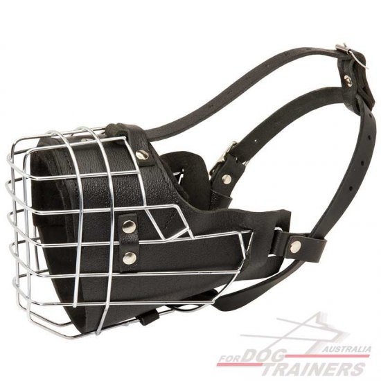 Fully Padded Leather Dog Cage Muzzle with Perfect Ventilation
