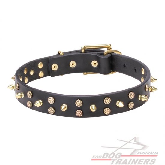 "Space Travel" 1 1/5 inch - 30 mm Leather Dog Collar with Brass Stars and Spikes
