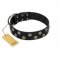 "Egyptian Style" Handcrafted FDT Artisan Black Leather dog Collar with Medallions