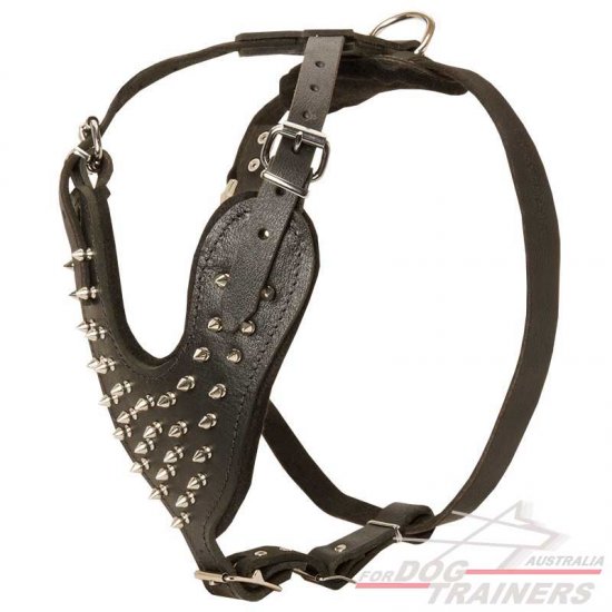 Posh Leather Harness-Strong Training Spiky Harness