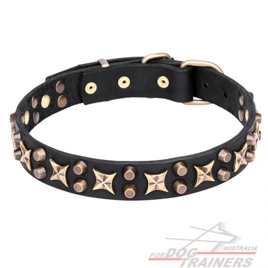 Leather Dog Collar "Hollywood Star" with Stars and Pyramids -1 1/4 inch (30 mm) wide