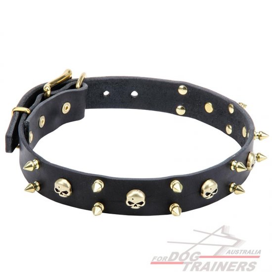 Leather Collar 'Heavy Metal' with Spikes and Skulls
