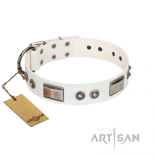 "Good-Luck Piece" FDT Artisan White dog Collar Adorned with Chrome Plated Studs and Plates