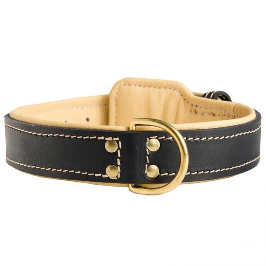 Comfortable Nappa Padded Leather Collar