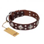 "King of Grace" FDT Artisan Stylish Leather dog Collar with Old Silver-Like Plated Decorations