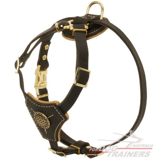 Tracking Leather Puppy Harness