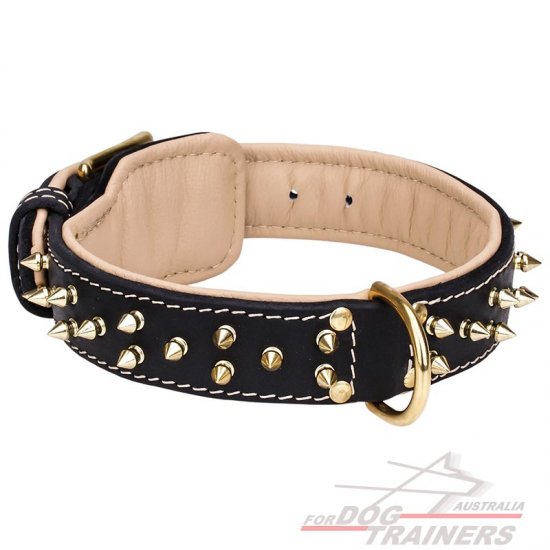 Nappa Padded Leather Dog Collar with Two Rows of Brass Spikes