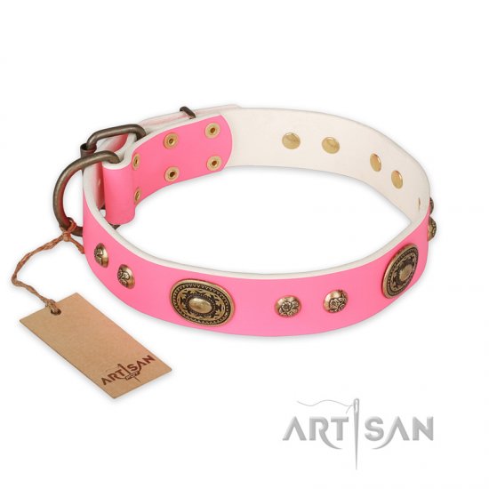 "Sensational Beauty" FDT Artisan Pink Leather dog Collar with Old Bronze Look Plates and Studs