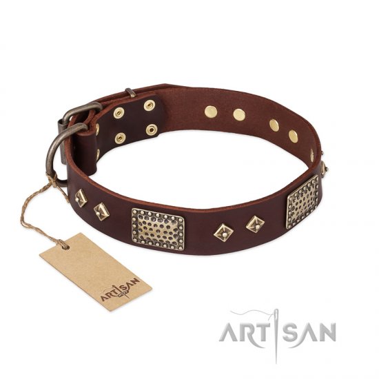 "Loving Owner" FDT Artisan Decorated Leather dog Collar with Plates and Studs