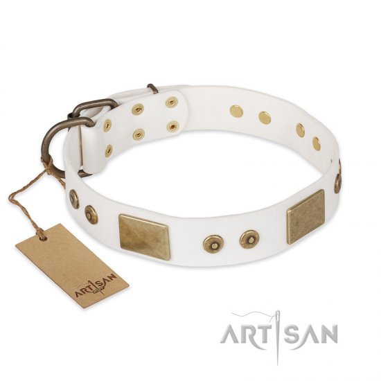 "Unforgettable Impress" FDT Artisan Decorated Leather dog Collar with Decorations