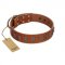 "Silver Century" Fashionable FDT Artisan Tan Leather dog Collar with Silver-Like Plates
