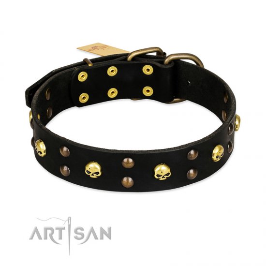 "Heavy Metal" Leather dog Collar with Skulls and Studs 1 1/2 inch (40 mm)