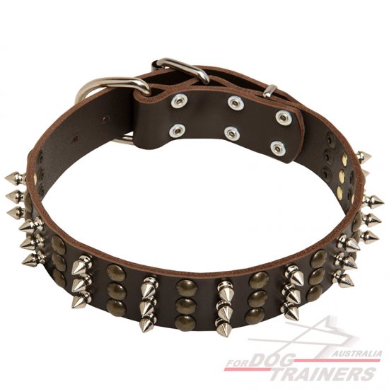 Leather Dog Collar with Studs and Spikes